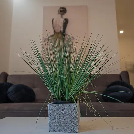 Villa44 Apartamento *